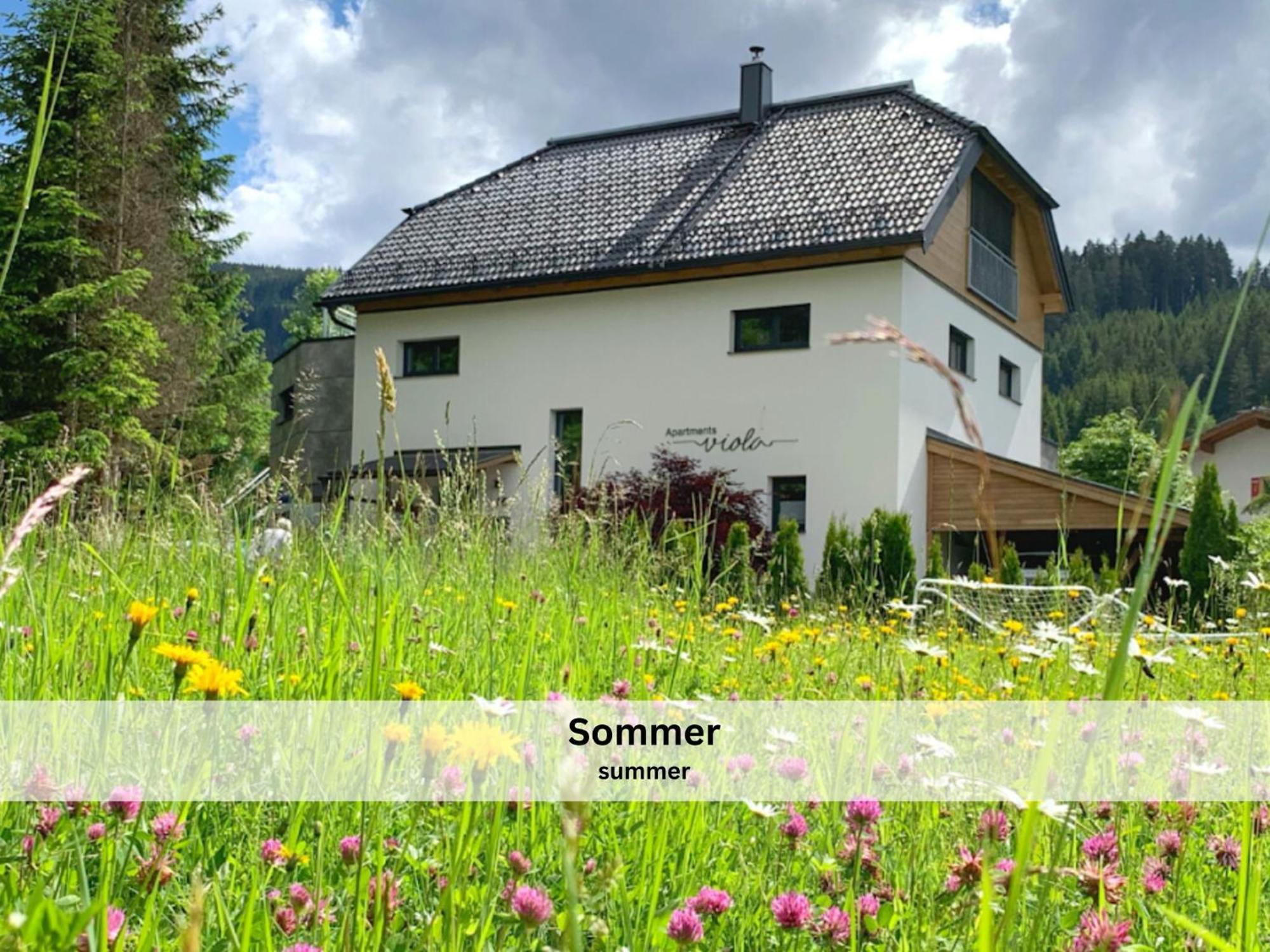 Apartments Viola Altenmarkt Altenmarkt im Pongau Bagian luar foto